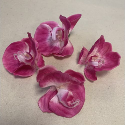 Orchidea virágfej darabos