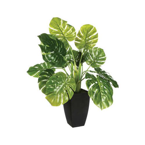 Zöld dekorációs növény 70cm