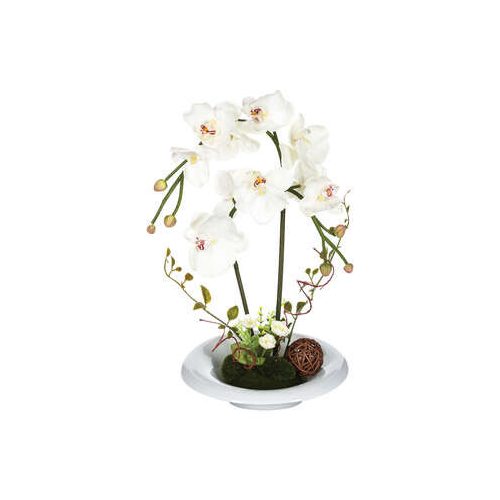 Fehér orchidea fehér kerámia kaspóban 46cm