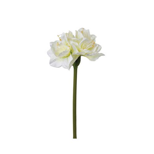 Amaryllis fehér 72cm

