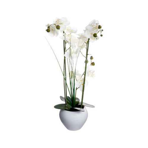 Fehér orchidea fehér kaspóban 53cm