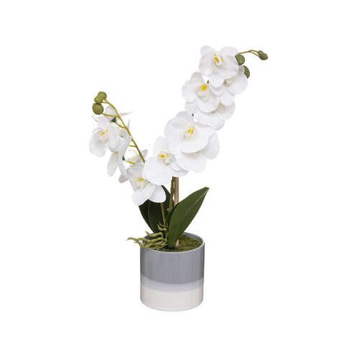 Orchidea szürke-fehér kaspóban 45cm