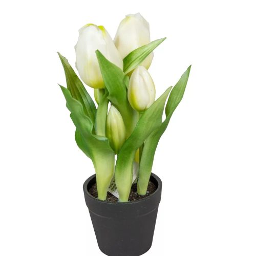 Élethű tapintású cserepes tulipán 23cm fehér