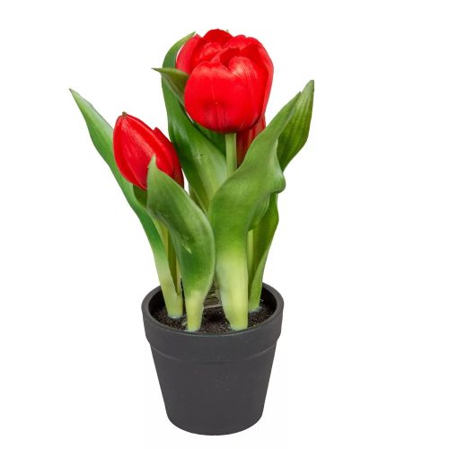 Élethű tapintású cserepes tulipán 23cm piros