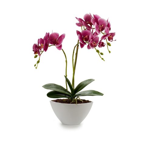Lila orchidea fehér kaspóban 50cm