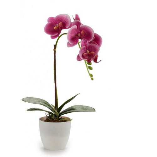 Élethű lila orchidea fehér cserépben 41cm
