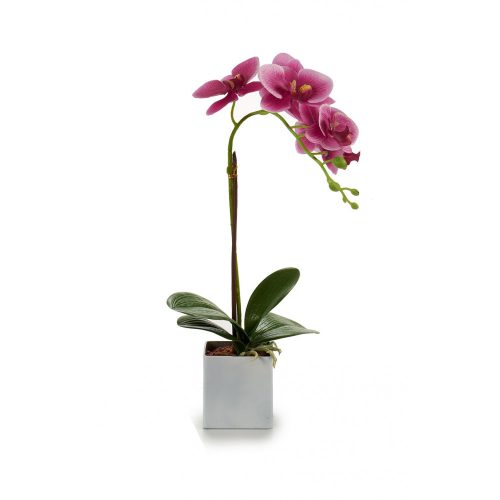 Élethű lila orchidea fehér cserépben 40cm