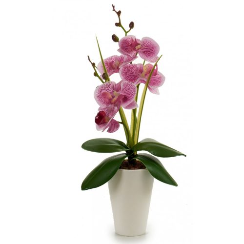Élethű lila orchidea fehér cserépben 37cm