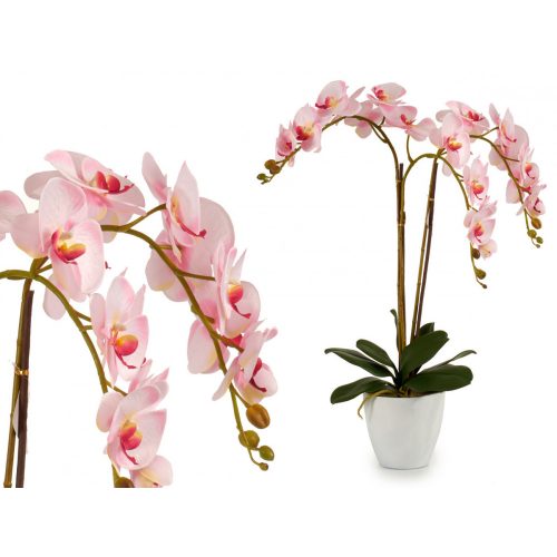 Rózsaszín orchidea fehér kaspóban 88cm