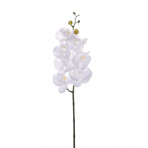 Orchidea 7 virággal fehér