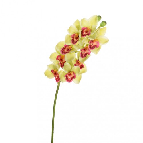 Élethű tapintású orchidea szál zöld