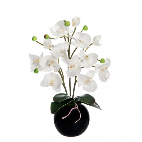 WJ.Orchidea fehér 28cm
