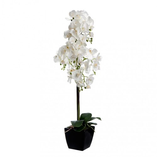 WJ.Orchidea fehér 78cm