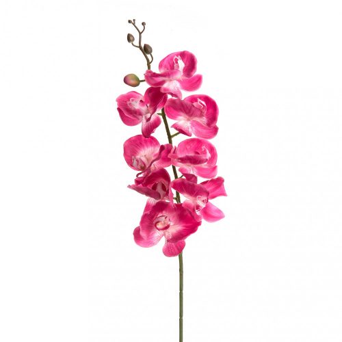WJ.Orchidea szál pink 98cm