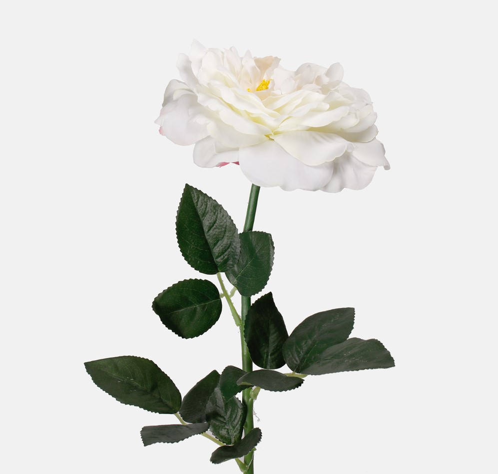Dekorációs rózsa szál krém